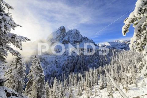 The sun illuminates the snowy trees and Sass De Putia in the background, Passo Stock-Fotos