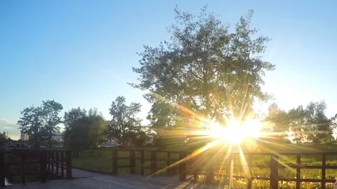 Sun Illuminates Trees And Path Timelapse Stockbeeldmateriaal 77285335