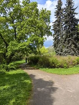 The sun illuminates the trees and path in the park Stock Photos