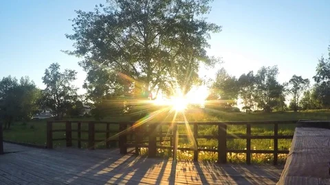 Sun Illuminates Trees At summer Sunset Timelapse 스톡 동영상 81605950