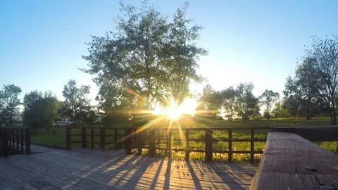 Sun Illuminates Trees At Sunset in summer Timelapse 스톡 동영상 81605054