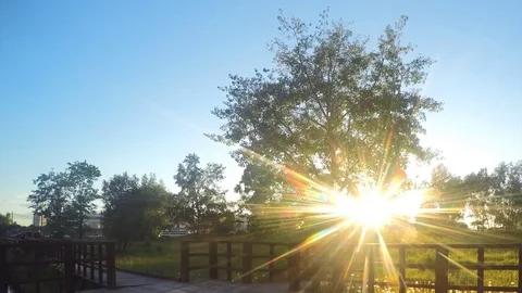 Sun Illuminates Trees at sunset Timelapse Stockbeeldmateriaal 77284526