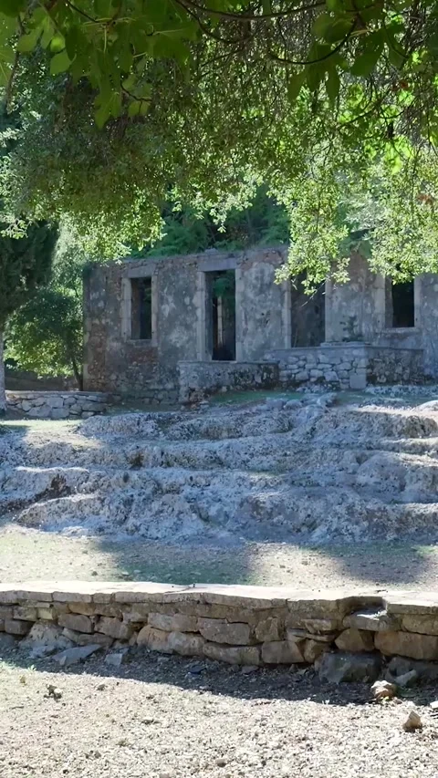 Sun illuminating ancient ruins through tree branches Stock-Footage 294963968
