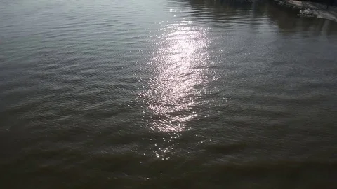 Sun Island Park Vídeo Stock 85210115