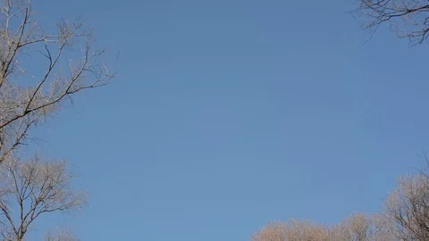 Sun Island Park Видео 85210540
