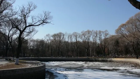 Sun Island Park Vídeo Stock 85210644