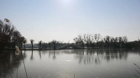 Sun Island Park Vídeo Stock 85211406
