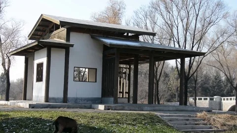 Sun Island Park Vídeo Stock 85211577