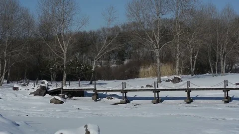 Sun Island Park in winter Stockbeeldmateriaal 85217713