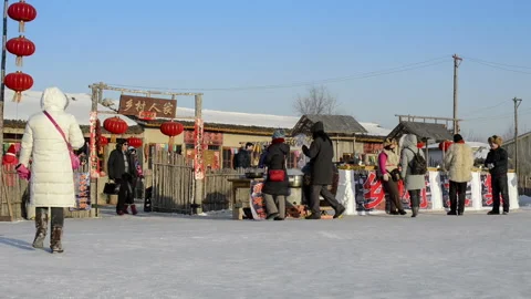 Sun Island Park in winter Vídeo Stock 85822766