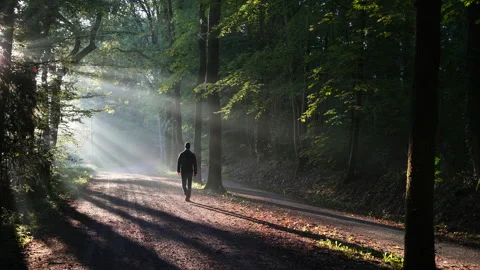 Sun lane walk Stock Footage 132049769