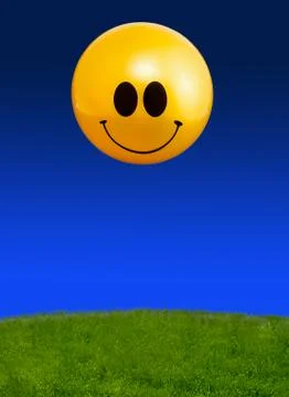 Sun on Lawn Stock Photos