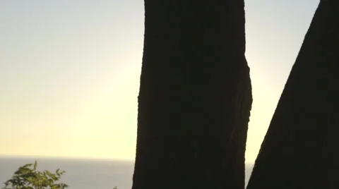 Sun Lens Flare Between trees Over Lake 库存影片 42905173