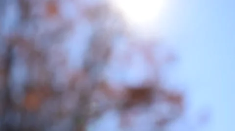 Sun lens flare blur Stock Footage 50184116