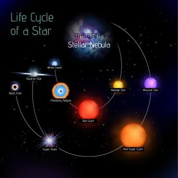 Sun life cycle vector in round shape 스톡 일러스트