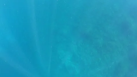 Sun light beams shining from above coming through the ocean deep blue water -Dan Stock Footage 134280496