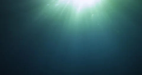 Sun light beams shining from above coming through the deep clear blue water Stock Footage 259921535