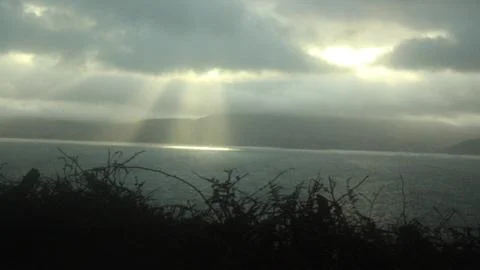 Sun light bursts though moring fog Foto stock