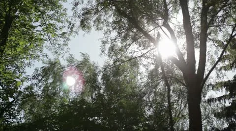 Sun light Stock Footage 11521724