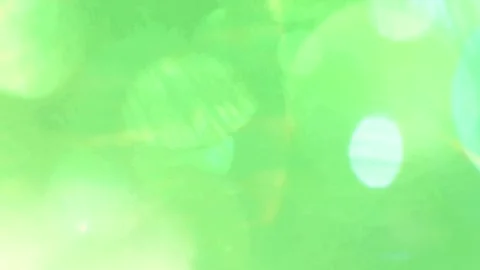 Sun Light Leaks Green Screen Widescreen Stock-Footage 344766572