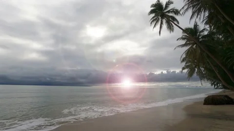 Sun light ray n Sunbeam Lens flare on dark rain cloud sky n palm tree beach Video stock 170380113