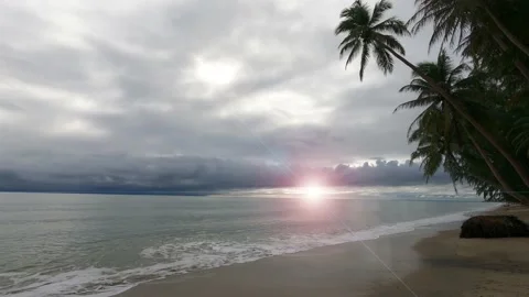 Sun light ray n Sunbeam Lens flare on dark rain cloud sky n palm tree beach Stock Footage 170380208