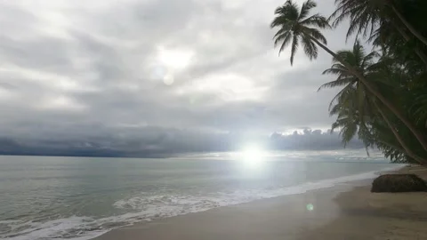 Sun light ray n Sunbeam Lens flare on dark rain cloud sky n palm tree beach Video stock 170380216