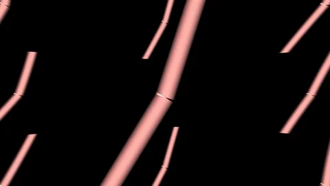 Sun light rays green screen Stock Footage 305412521