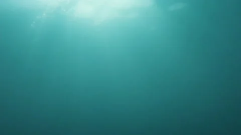 Sun Light Rays Underwater Stock Footage 132816598