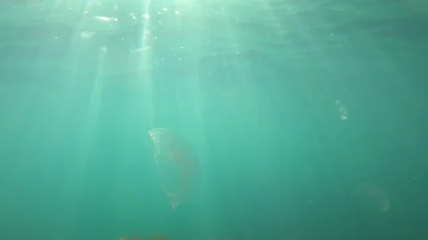 Sun Light Rays Underwater Video stock 202073628