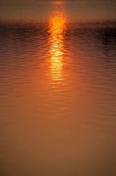 Sun light reflect in the lake Stock Photos