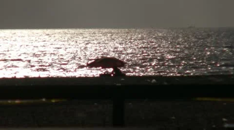 Sun Light Reflection Vídeo Stock 10566087