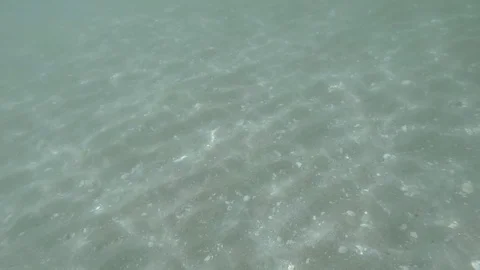 Sun light reflects on water bead. Sunny summer day Stock Footage 93124187