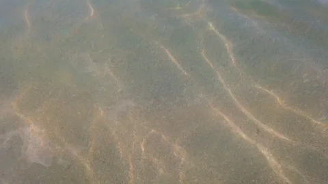 Sun light on sand under water on coast and ripples waves on surface Stock Footage 119106505