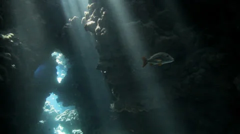 Sun light shines in the cave 動画素材 22711555