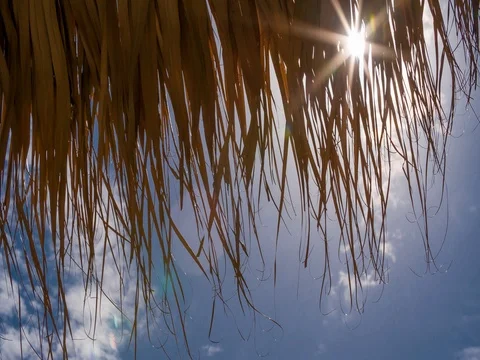 SUN LIGHT UNDER BAMBOO UMBRELLA 스톡 동영상 83016601