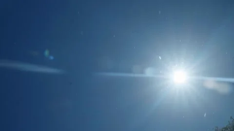 Sun light with wind particles flying through the air Stock Footage 260850422