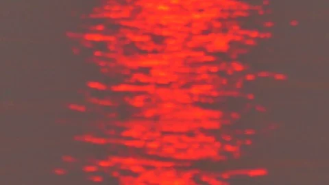 Sun lights defocused bokeh circles Stock Footage 91017207