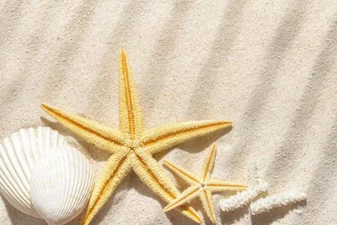 Sun lights with hard shadow on abstract sand background with shell, starfis.. 写真素材