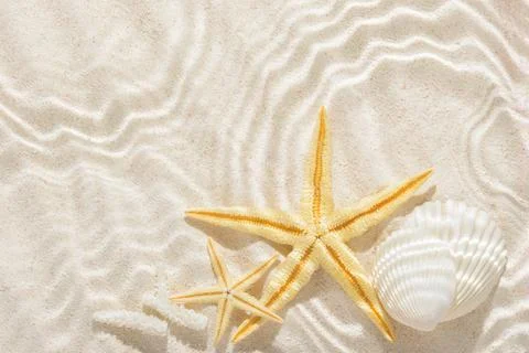 Sun lights with hard shadow in wavy water on abstract sand background with .. 写真素材