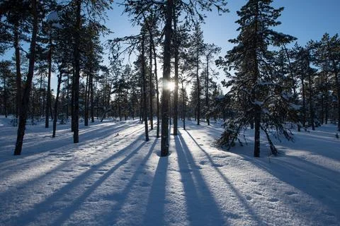 Sun Lines Foto stock