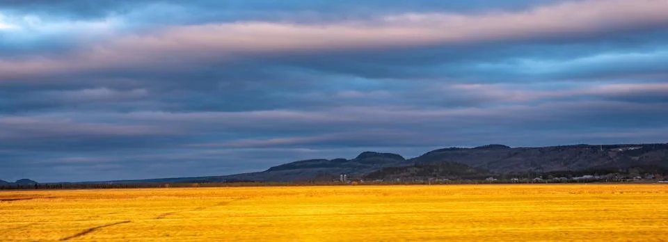 Sun-lit yellow fields in front of dark blue skies Stock Photos