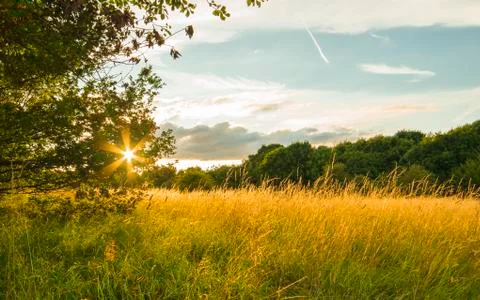 Sun looking really as a real stay at sunset Stock Photos
