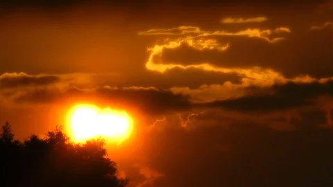 The sun looks out because of a tree and dense rain clouds. Sunset time. Видео 70398027