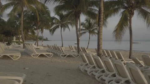 Sun loungers lined up on sandy beach in Jamaica. Video stock 167560776