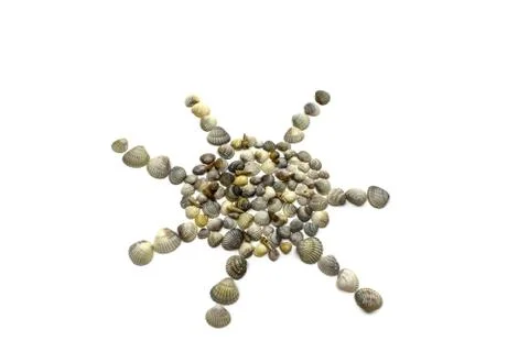 The sun is made of shells Stock Photos