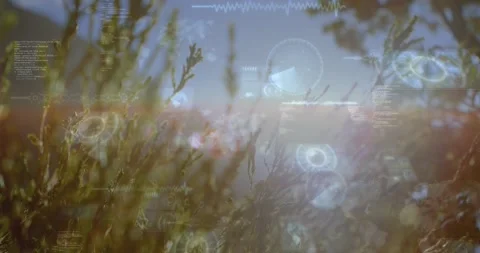 Sun making warm lens flare, HUD elements fading in and growing over swaying Stock Footage 320650683