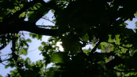 Sun in Manchester, England Stock Footage 78427221