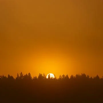 The sun in the mist over the treetops. Foto stock