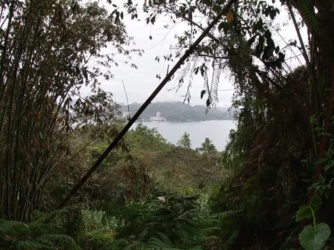 Sun Moon Lake Landscape Viewed Through Tropical Vegetation, Taiwan Stock Footage 345346017